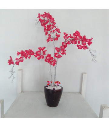 Image2