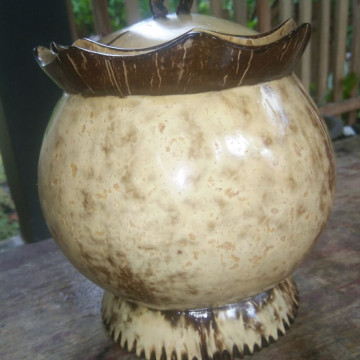 Image2
