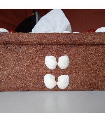 Image2