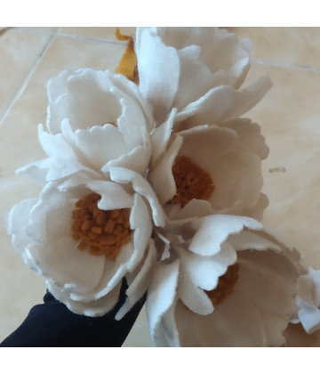 Image2