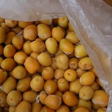 Image2