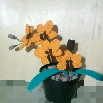 Image2