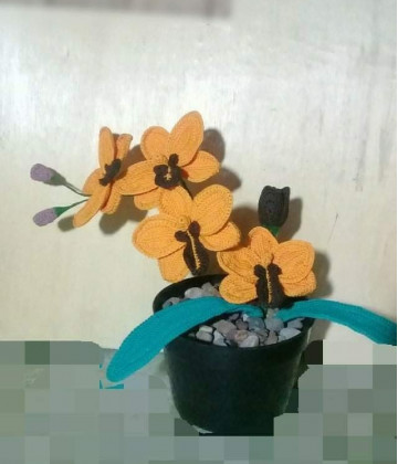 Image2