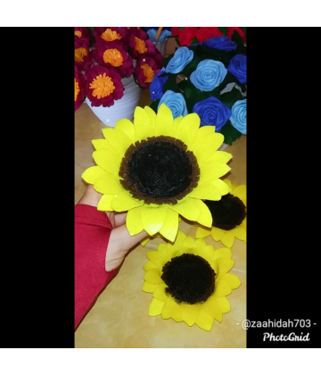 Image2
