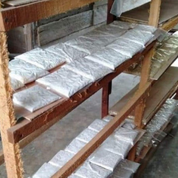 Image2