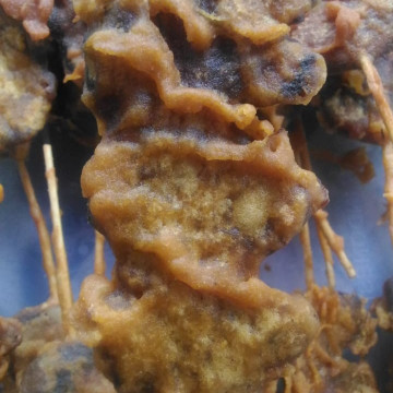 Image2