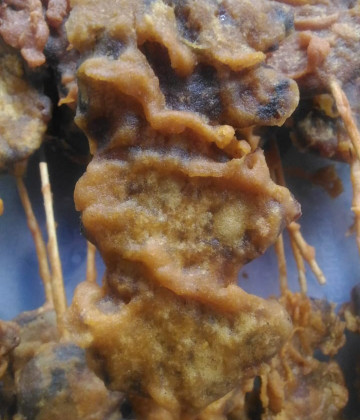 Image2