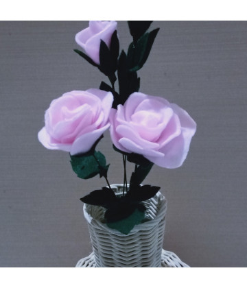 Image2
