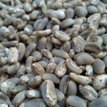 Image2