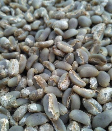Image2